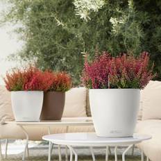 Lechuza classico Lechuza plantekrukke CLASSICO Color 21 ALL-IN-ONE Krukke