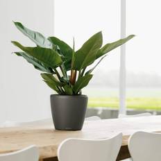 Lechuza Classico LS 21 Antracit Metallisk ∅20cm