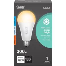 Feit electric led light bulb Feit Electric Led bulb indr/outdr 300w