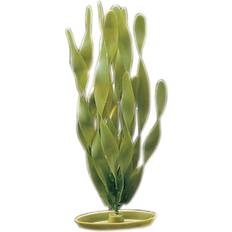 Marina Akvarium - Fiskar & Reptiler Husdjur Marina Akvarieväxt Jungle Vallisneria plast 30cm