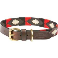 Polo Dog Collar