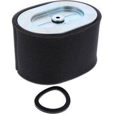 Cleaning & Maintenance Briggs & Stratton 799818 Filter-Air von Ca