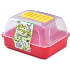 Pots, Plants & Cultivation Whitefurze Kids Propagator Plastic Red With Clear Lid