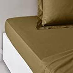 Coton Égyptien Draps Today Housse Essential 140 x 200+30 cm 2 Personnes Bronze Drap