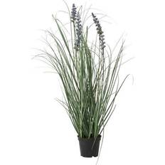 Planter lavendel Speedtsberg Lavendel Kunstig plante