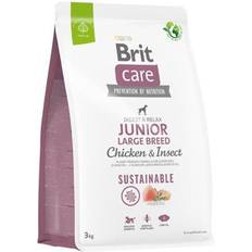 Brit care junior Brit Care Dog Sustainable Junior Large Breed Chicken & Insect