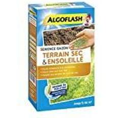 Graines d'herbe Gazon Terrain Sec Ensoleillé 1 kg SEMSOL1