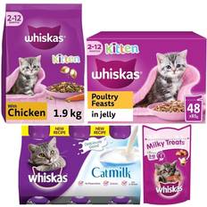 kitten complete dry food food pouches milk bundle of 4