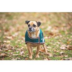 Pets Digby & Fox And Waterproof Dog Coat Forest Size Medium