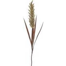 Crossland Grove Gallery Interiors Pampas Spray Wheat Russet Scented Candle