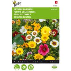 Buzzy Buzzy spiselige blomster Mix frø Blomsterfrø