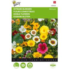 Spiselige blomster Buzzy spiselige blomster Mix frø