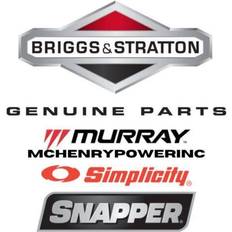 Briggs & Stratton Filterkasett A/C