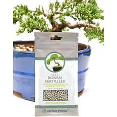 Pots, Plants & Cultivation Bonsai Fertilizer Pellets Perfect Plants 5