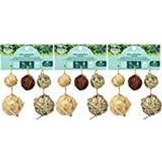 Enriched Life Roll Around Ball X5