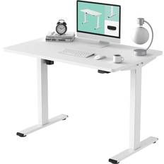 Electric standing desk Flexispot Electric Standing Writing Desk 30x48" 2