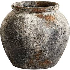 Echo