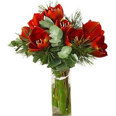 Flowerhouse.se Merry Christmas