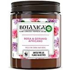 Botanica Aromatiskt Arom