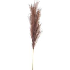 Wall Decorations Taupe Large Pampas Grass Stem Wall Decor