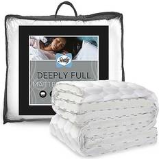 Foam Mattress Sealy Full Topper Polyether Matress