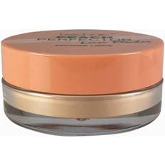 Technic Basis Make-up Technic Loose Powder Peach Perfector