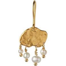 Stine A Jewelry big elegant peals splash hængeørering forgyldt
