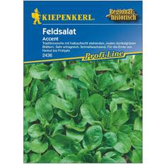 Beste Gemüsesamen Kiepenkerl Feldsalat Accent ca. 5 lfd.