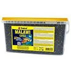 Tropical Malawi Chips, 1er Pack