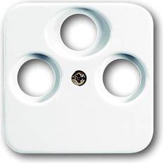 Materiali per Installazioni Elettriche Busch-Jaeger Zentralscheibe aws 1743-03-214 2CKA001724A1754