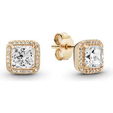 Pandora Gold Earrings Pandora Square Sparkle Halo Stud Earrings - Gold/Transparent