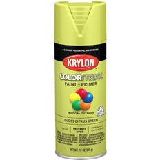 Paint 12-krylon colormaxx gloss spray paint Green