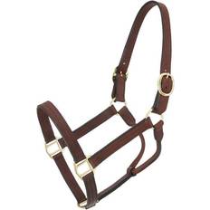 Royal King Leather Track Halter