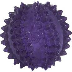 JW Bristl-ee Cactus Ball