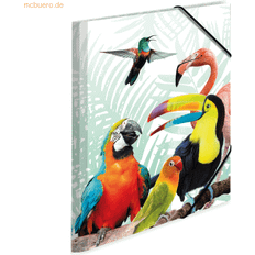 Herma Portfolio Folder Au Parrot for Children's and Inner Print