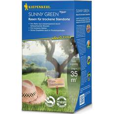 Grass Seeds Kiepenkerl Profi Line Sunny Green Rasen für Trockenen Boden