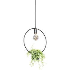 Lighting QAZQA Modern Roslini Pendant Lamp