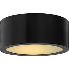 Ceiling Flush Lights Hinkley 1665 Luna Ceiling Flush Light