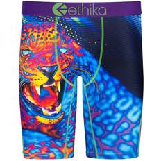 Ethika Men's Underwear Ethika Mens Graphic Briefs Mens Purple/Blue/Green