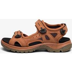 ecco Offroad Brun