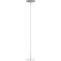 Uplight Unilux Leddy Uplight Floor Lamp 180cm