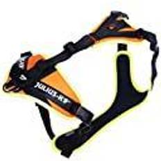 Julius-K9 Mantrailing harness L-XL Orange