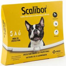 Anti-parasite collar