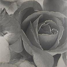 Muriva Black Grey Rose Floral Bloom Flowers Silver Glitter Shimmer Feature Wallpaper