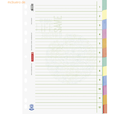 Beige Büroeinrichtung & Aufbewahrung Brunnen Ordnerregister Recycling Vollformat blanko 12-teilig, 1 St.