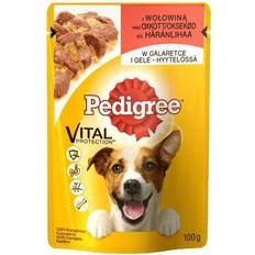 Pedigree Vital Protection, Vuxen, Mini