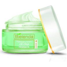 Mattifying day cream Bielenda green tea anti-acne mattifying moisturising day cream mixed 50ml