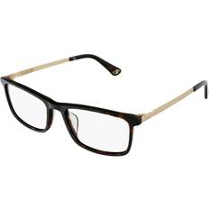 Briller & Læsebriller Police VPLB75 in Tortoise Tortoise 56-17-145