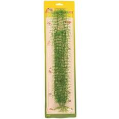 Meadow Elodia plastic
