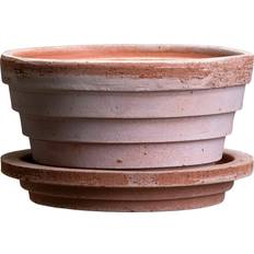 Bergs Potter Planet Mars flower ∅12cm